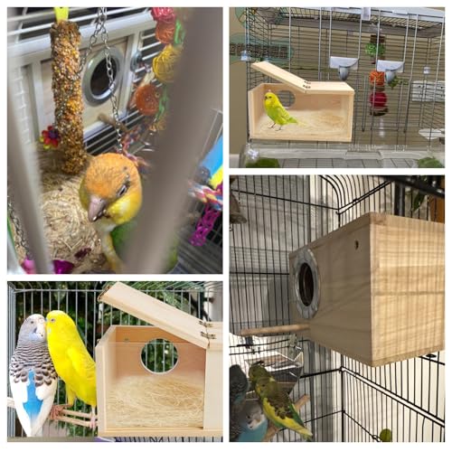 PINVNBY Nesting Box for Birds,Wooden Parakeet Nest Box with Detachable Board Transparent Visual Cockatiel House for Budgie Lovebird Conure Parrot (XL) - size: X-Large