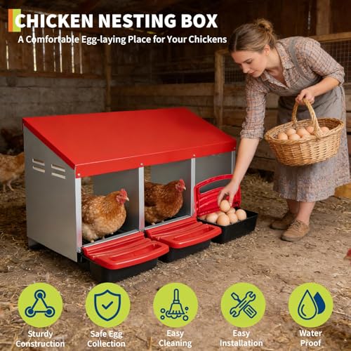 Chicken Nesting Boxes for Chickens Laying Eggs, 3 Hole Roll Away Egg Collection Box for Chicken Coop, Wall Mount Metal Nesting Box, Easy Egg Collectio