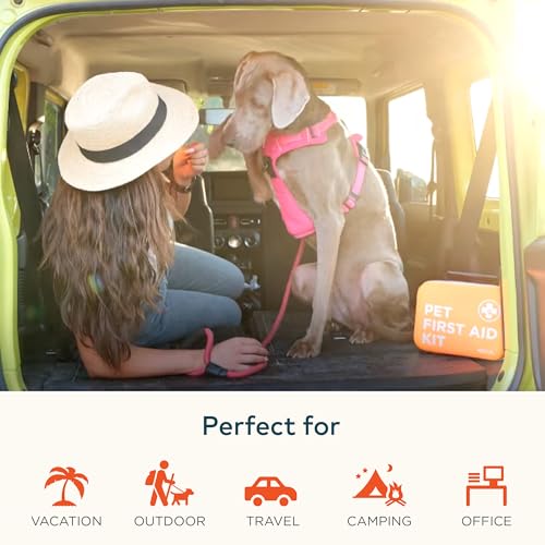ARCA PET Cat & Dog First Aid Kit for Car - Pet Emergency Kit for Home Office Travel – Dog Camping Essentials with Digital Thermometer, Muzzle & Mini First Aid Pouch - size: CoreCare Kit