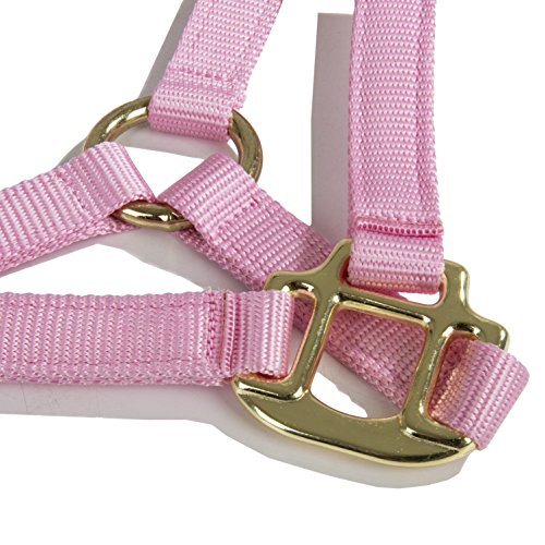 Intrepid International Durable Nylon Miniature Horse Halter w/Adjustable Chin & Throat Snap - color: Pink