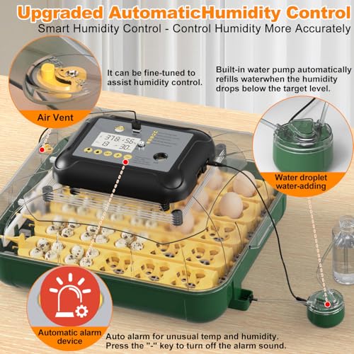 125 Egg Incubator for Hatching Eggs with Automatic Egg Turning | Temperature & Humidity Display, Hatch Day Countdown, Egg Candler, Quail Egg Incubator for Chicken, Dove and Other Birds - size: M- 196 Quail Eggs