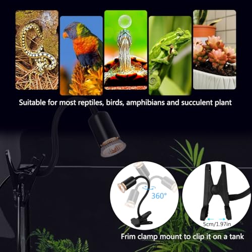 Dimmable Reptile Heat Lamp with Timer + 75W UVA UVB Light Bulb, Basking Spot Light Simulated Sunlight, Heating Lamp for Turtle, Lizard, Snake, Beared Dragon, Amphibians