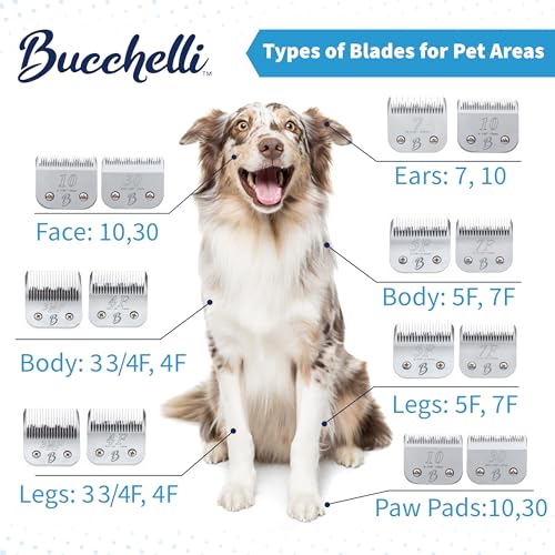 Detachable A Series 3 3/4 Skip Tooth Blades for Dog Grooming Cut Length 1/2" - 13mm -Skip Tooth Japanese Carbonized Steel Skip Tooth Clipper Blades Compatible A5 Series(3 3/4SK) - color: 3 3/4 (1/2" or 13mm) Skip Tooth