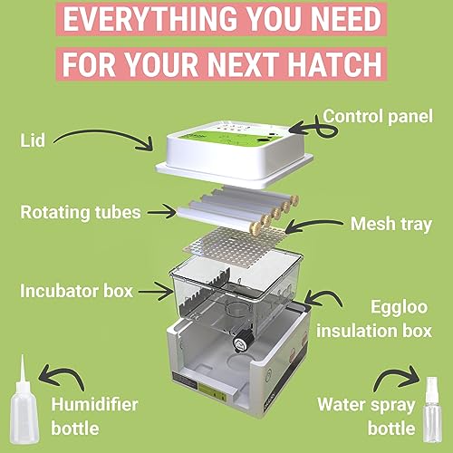 OBI-12 Egg Incubators for Hatching Eggs – Incubator for 12 Eggs with Automatic Egg Turner - Brooder for Chicken Eggs, Quail, and Duck Eggs - Green - color: Green