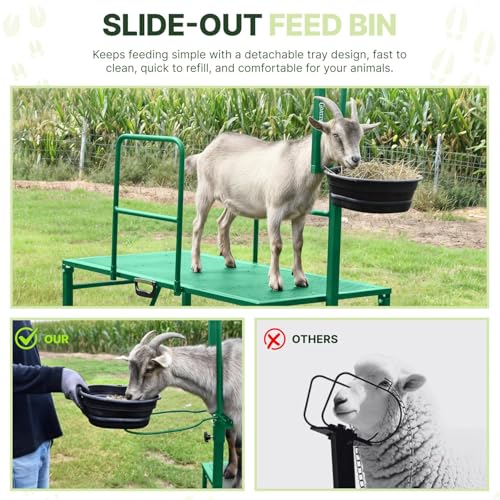 Goat Stand with Adjustable Headpiece & Legs, Goat Milking Stand with Feeder, Rails & Wheels, Stanchion for Grooming & Hoof Trimming, Sheep Stand for Shearing Heavy-Duty Steel Platform, Green - color: GREEN