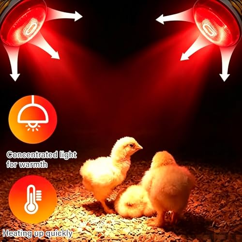 6 Pack 250W Chicken Heat Lamp Bulbs, Infrared Heat Lamp for Chickens, Heat Light Bulb for Brooder Coop, Food Service, Chicks, Pet, Reptile