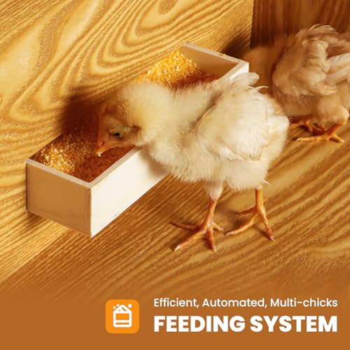 32" Chicken Brooder Brooder for Chicks with Feeder & Waterer | Upgrade Sliding Door Design, Super Easy to Clean Up to 30 Chicks 32" L x 16" W x 16" H