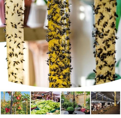 Outdoor Fly Trap Indoor Hanging 40pk, Sticky Fly Strips Tape Paper for Home | Flies Ribbon Rolls for Home Kitchen, Fruit & Bug Gnat Catchers for Inside, Killer for Winged Insect - size: 40 pack