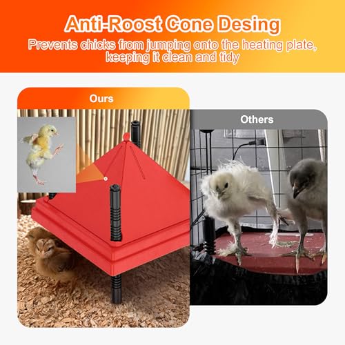 Chick Brooder Heater with Anti-Roost Cone & Constant Temp Red 12" x 12" | Height-adjustable brooder plate for Raising Chicks - size: 12" x 12" with Constant Temperature