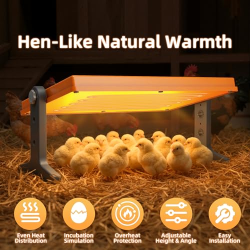 Chick Brooder Heater Plate, 12"x7.9" Warm Brooder Plate for Chicks Poultry | Chicken Brooder with Adjustable Height, Angle & Temperature, 50W Heat Plate for Chicks Poultry, Warm like Mother Hen