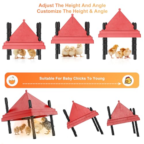 Chick Brooder Heater with Anti-Roost Cone & Constant Temp Red 12" x 12" | Height-adjustable brooder plate for Raising Chicks - size: 12" x 12" with Constant Temperature