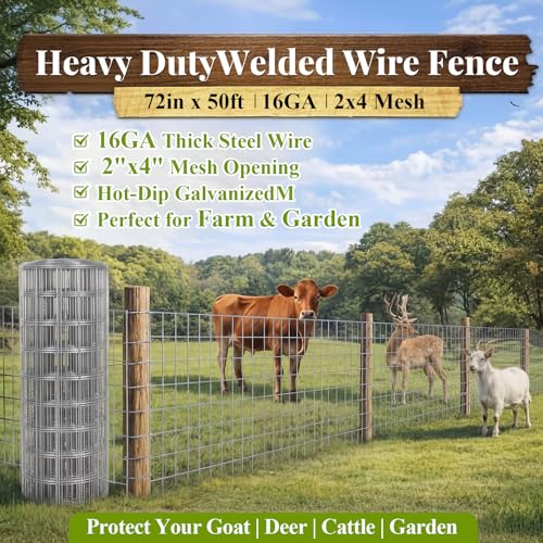 Gisafai 72in x 50ft Welded Wire Fence, 2 Inch x 4 Inch 16 GA, Galvanized Metal Garden Fence Roll Wire Mesh Netting for Goat Deer Cattle Animal Enclosures and Yard Vegetable Plant Protection,Silver | Metal Chicken Wire Fence, Hardware Cloth Wire Roll, Cage