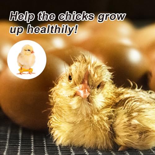 Gosknor 15pcs Chicken Leg Bands, Baby Chick Splay Leg Hobble Chicken Leg Bands Poultry Leg Ties Chicken Ties Chicken Hobble Braces for 1 to 3 Days Old Newborn Chicks Birds
