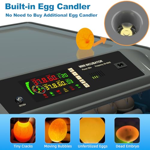 Upgraded Egg Incubator for Hatching Eggs - Chicken Egg Incubator with Automatic Egg Turning, Humidity Control, Water Adding System, Egg Candler, Ideal for Chicken, Duck, Quail Eggs (36 Eggs) - size: 36 Eggs