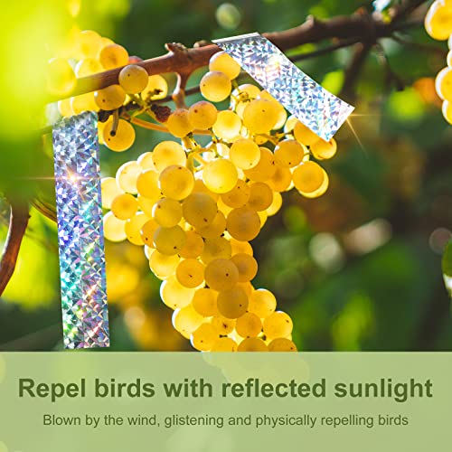 OFFO Reflective Tape for Birds, 200 Feet x 2 Inches Dual-Sided Bird Scare Tape Outdoor for Garden, Farm, Orchard or Courtyard - size: 200 ft x 2 in
