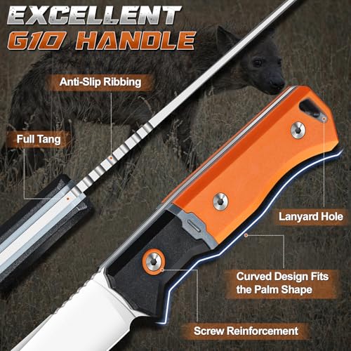 Purple Dragon Outdoor Knife for Boning - Trailing Point Boning Knife Orange | Forged from a Single Piece of D2 Steel, Full Tang G10 Handle, Gift Box - size: 5.6 inch