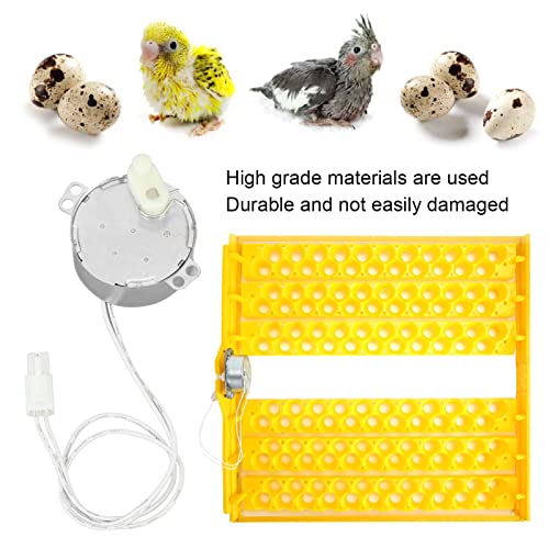 Replacement Egg Turner Motor, 4W Egg Turner Rotator Incubator Motor Electric Synchron Motor with Connector for Chickens Ducks Goose Birds Egg Hatching (100-120v)