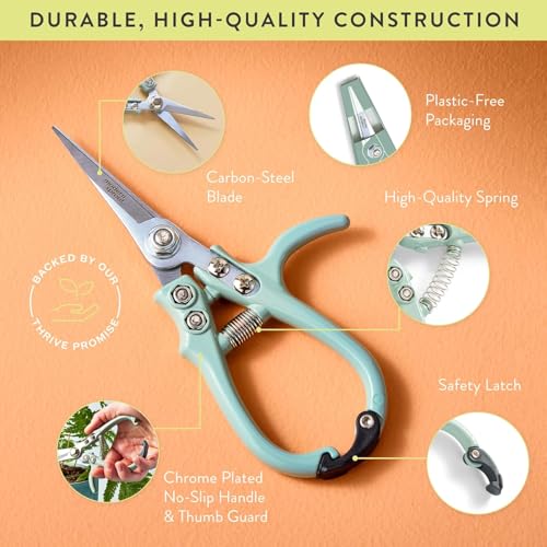 Modern Sprout Pruning Shears - Garden Snips - Herb Scissors - Multi 4-Pack | Lightweight Gardening Tool - Durable Carbon Steel Blade W/Easy-Lock - Gardening Supplies - Flower Cutter - Reusable Holster - color: Multicolor - 4pcs