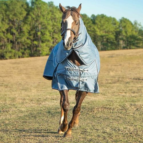 Jeffers Poplar Head Refuge 1200 Denier Turnout Blanket, Hamilton Blue, 87" – Waterproof & Breathable Horse Blanket, 240g Insulation, Adjustable Fit for Comfort & Safe Use, Durable Design - size: 87 in