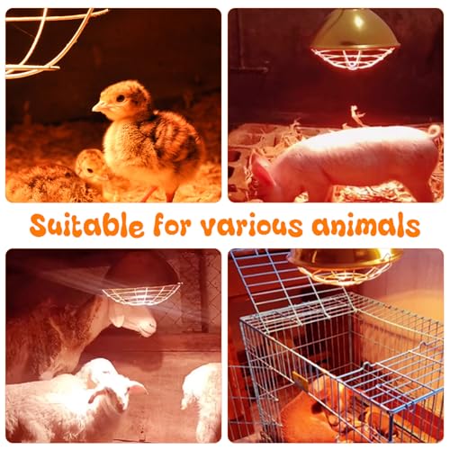 Large Chicken Coop Heat Lamp with 250w Infrared Heat Bulb | Adjust 2 Mode Temperature&Hanging Height,Aluminum Reflector for Coop Brooder,Cat,Puppy,Lamb