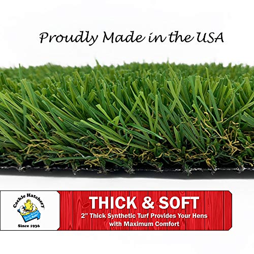 Cackle Hatchery Laying Hen Nest Box Turf - Easy to Clean & Lasts for Years in Chicken Nesting Boxes (6 Pack)