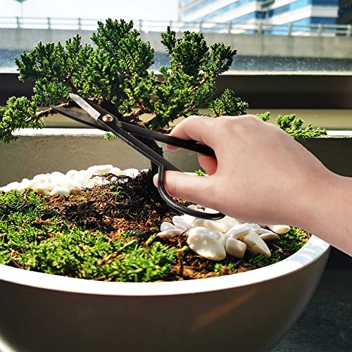 BambooMN Bonsai Basics Set - 7.2" Trimming Shears & 7" Heavy Duty Butterfly Shear - 1 Set - color: Trimming Shear & Butterfly Shear Set, size: 1