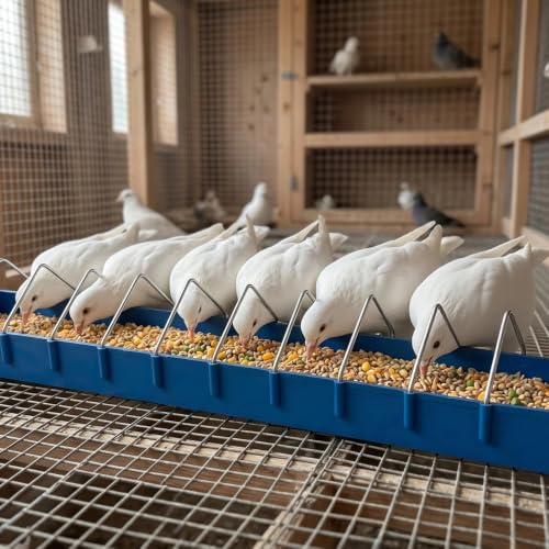 4 Pack Large Size Pigeon Feeder 11 Slot Plastic Thick Container Trough Dish Food Dispenser Less Waste with Removable Steel Wires for Pigeons Quails Birds Chicks Ducklings Poultry (Length, 23.6 inches)