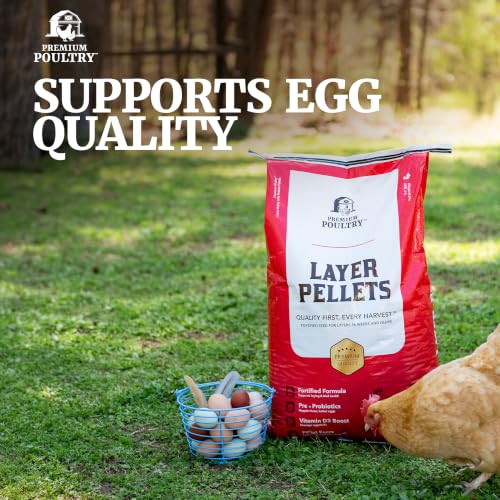Chicken Layer Feed Pellets, 16% Protein, 40lb, Made in USA | Supports Consistent Egg Production, Strong Eggshells, Calcium Absorption & Vitamin D3, Ideal for Backyard Flocks - size: 40lb (Pack of 1), style: Layer Pellets