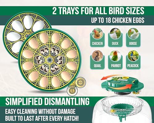 Dural's DX5® | Professional 18 Egg Incubator with Automatic Turning & Humidity Control | FCC Certified Egg Incubator | for Chicken, Quail, Duck Eggs | Precise Temperature | Easy to Clean (18 Eggs)