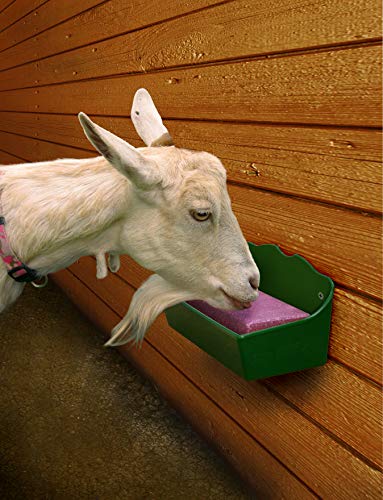 Little Giant® Livestock Salt Block Feeder | Mineral Block Holder | 1 Quart