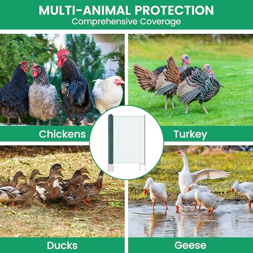 Non Electric Fence Netting 40" x100', Boundary Fence with Double Spiked Posts, Portable Poultry Fencing for Dogs, Chickens, Ducks, Turkeys in Backyard, Garden, Farm