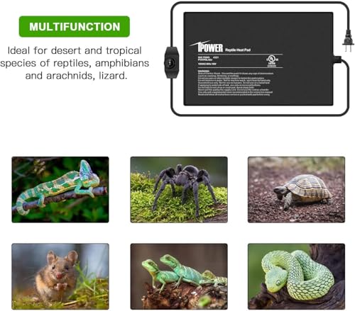 iPower 8 by 12-Inch Reptile Heat Mat with Temperature Adjustment, LCD Digital Aquarium Thermometer, Terrarium Heating Pad for Reptiles & Amphibians - size: 8 X 12 Inch, style: Pad with Adjust Knob+ Thermometer