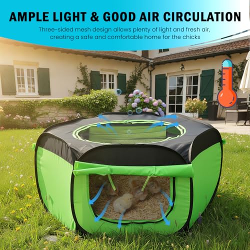 Tetuga Brooder Box for Chick Starter Kit, Chicken Brooder Up to 15 Chicks | Pop-Up Chicken Brooder Pen with Breathable Mesh Easy Fold Storage, Indoor Outdoor Use for Chick, Duck And Quail,Green - color: Chicken Brooder Tent,Green