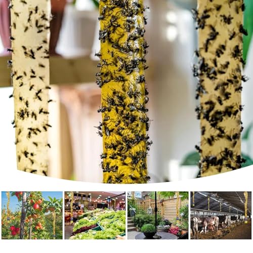 Outdoor Fly Trap Indoor Hanging 60pk, Sticky Fly Strips Tape Paper for Home | Flies Ribbon Rolls for Home Kitchen, Fruit & Bug Gnat Catchers for Inside, Killer for Winged Insect - size: 60 pack