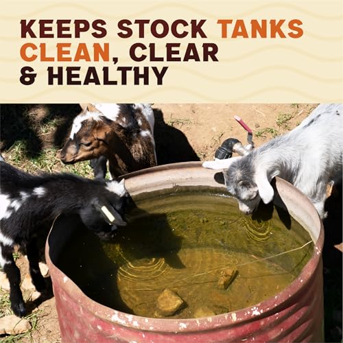 Stock Tank Clarifier - Improves Livestock Water by reducing buildup and Creating Healthier Water troughs. Safe for Horses, Cattle, Sheep, Goats & Chickens. (Tablet, 25, Count)