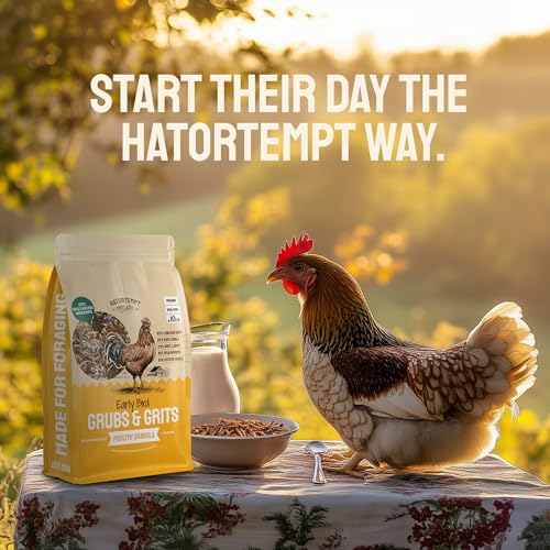 Hatortempt 10lb Grubs & Grits Chicken Treats, High-Calcium Chicken Feed | Chicken Grit, Oyster Shell, Black Soldier Fly Larvae & Mealworms for Chickens - Hand Inspected Chicken Food - Balanced Diet - size: 10 Pound (Pack of 1)