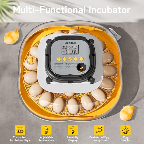 25 Egg Incubators for Hatching Eggs, Auto Turning, Temp & Humidity Control | Auto Water Refill, Auto Egg Turning, Turning Timer, Incubation Timer, Built-in Egg Candler & Protective Wall Design - color: Yellow, size: 25 Eggs