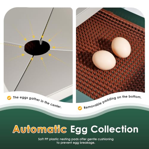 Chicken Nesting Box, Wall-Mounted Metal Roll Away Egg Laying Box | Galvanized Steel 2 Compartment Chicken Laying Boxes with Roll Away Egg Collection&Pull-Out Trays for Hens, Chickens, Ducks