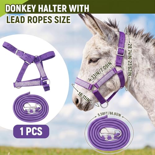 1 Set Mini Donkey Halter with Lead Rope Adjust, Purple | Nylon Head Collar, Cute and Stylish, for Miniature Donkey and Small Equines, Farm Ranch Pasture Outdoor, Gingham Plaid Trim - color: Purple