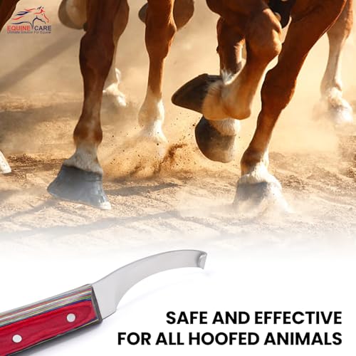 Farrier Hoof Knife, Left-Handed, Brass Cap for Horse Shoeing | Farrier hoof knife with J2 stainless steel blade, notched brass shoe topper and layered handle; right- or left-handed - style: Left Handed
