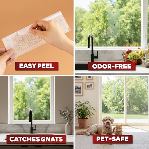XFasten Window Fly Traps Sticky Clear 50-Pack Fruit Fly Traps for Indoors Sticky, Residue-Free, Odorless, Discreet Adhesive Indoor Catcher for Fruit Flies Houseflies, Gnats on Windows Kitchen Garage - style: 50-Pack