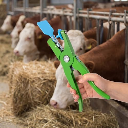 Lothee 100 Pcs Blank Cattle Ear Tags with Pliers Large Blue Plastic Precision Animal Identification Blank Livestock Ear Tags for Cattle Cow Horse Dog Pig Goat Sheep Farm Management - color: Blue