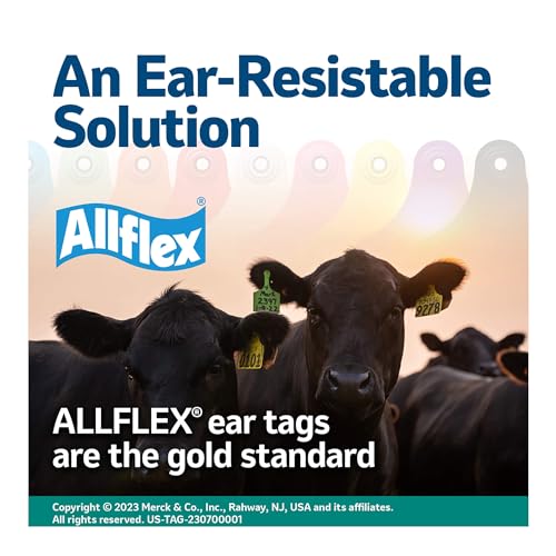 USA GXF/GSMY 115700 Ear Tag, Female Blank, Maxi Yellow