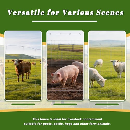 Galvanized Farm Fence, 6ft x 328ft Heavy Duty Wire Fencing for Cattle, Goats, Deer, Horses, Chicken,Pasture, Garden Boundary – Rust Resistant, Easy Installation
