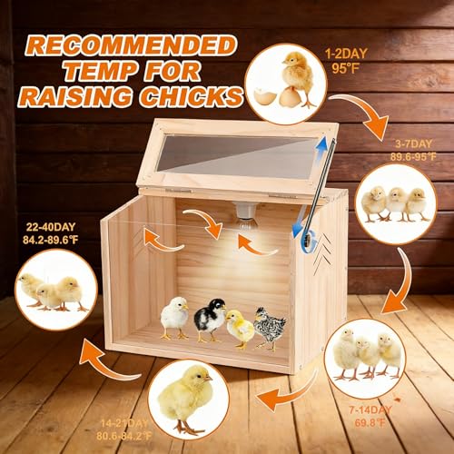 Chick Brooder Box,Brooder Box for Chicks,16" Lx12 Wx11 H, Ducks,Chicken Coop,Quail cage,2 Washable Liners,Adjustable Temperature Control.