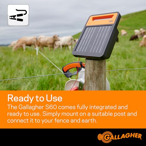 Gallagher S60 Solar Fence Charger | 0.6 Joule Electric Fence Energizer for Livestock, Poultry Netting, Gardens & Wildlife Exclusion | Powers Up to 6 Miles of Fence | Lithium Battery Technology