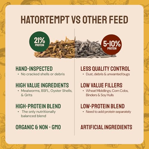 Hatortempt 10lb Grubs & Grits Chicken Treats, High-Calcium Chicken Feed | Chicken Grit, Oyster Shell, Black Soldier Fly Larvae & Mealworms for Chickens - Hand Inspected Chicken Food - Balanced Diet - size: 10 Pound (Pack of 1)