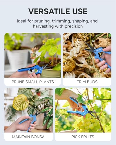 Fondwell 6.5" Precision Pruning Shears for Gardening Bud Trimming Scissors | 1-Pack Garden Snips, Ultra-Sharp Non-Stick Straight Blades, Fatigue-Free - Best for Delicate Cutting Flower Stems Herbs Buds - color: Black (Straight Blades)