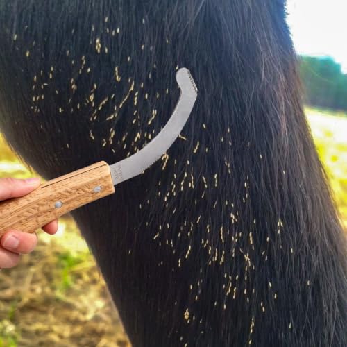 Bot Egg Knife for Horses, Precision Grooming for Bot Egg Removal Stainless Steel Blade with Wooden Handle Horse Equine Tack Care Farrier Tool
