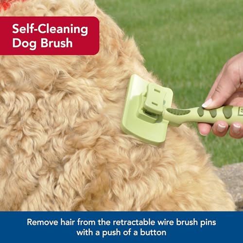 Coastal Pet Safari Dog Self-Cleaning Slicker Brush - Dog Deshedding Brush - Prevents Mats and Tangled Hair - For Dogs with Short or Long Hair - Large - 8" x 4.5" - size: Large